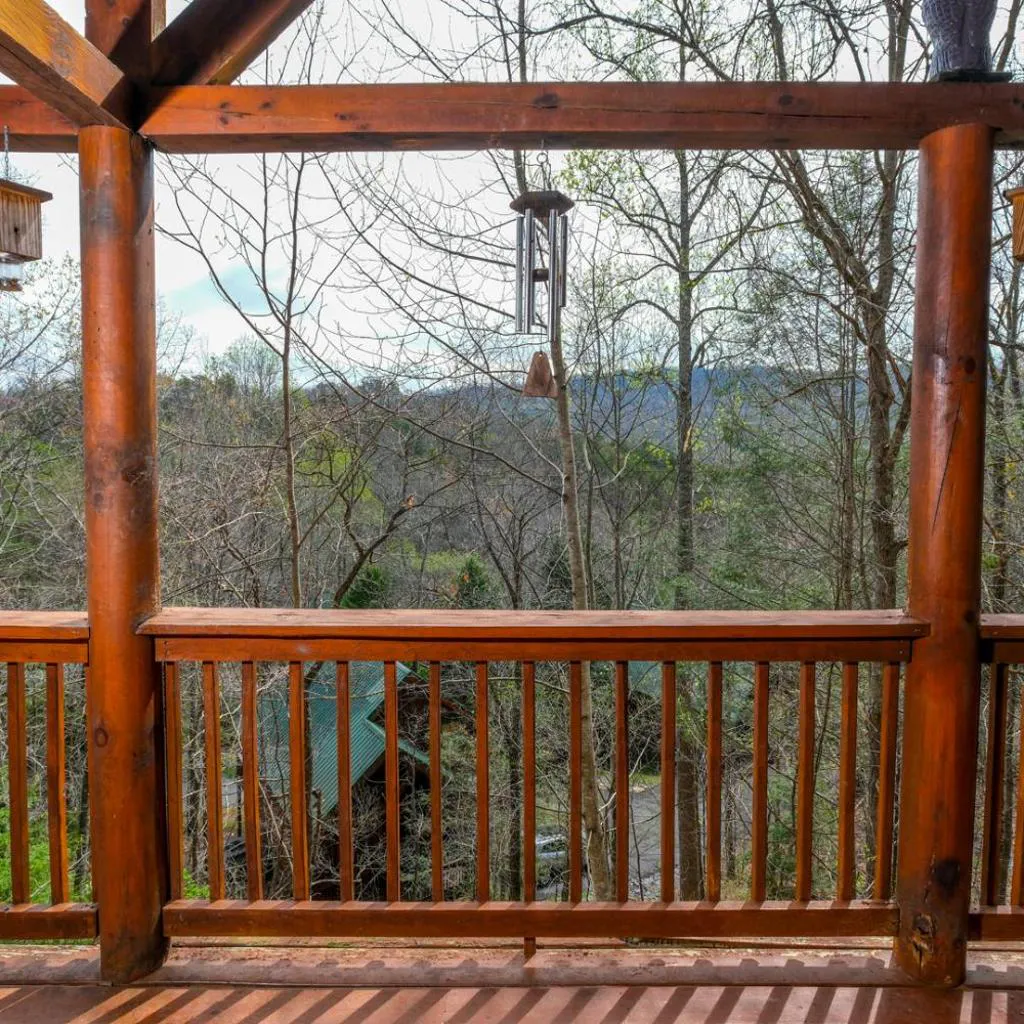 Photograph of Beary Relaxing Unwind in the Smokies