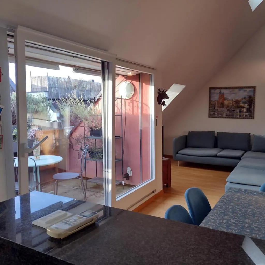 Photograph of Executive Rooftop Flat in Zurich