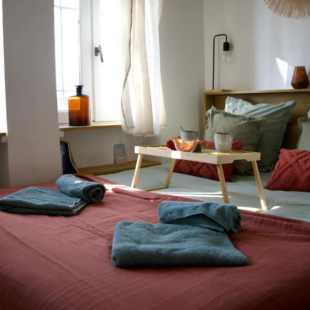 Photograph of Centre historique de Toulouse - Appartement cosy face à la Garonne - L'écrin de Tounis