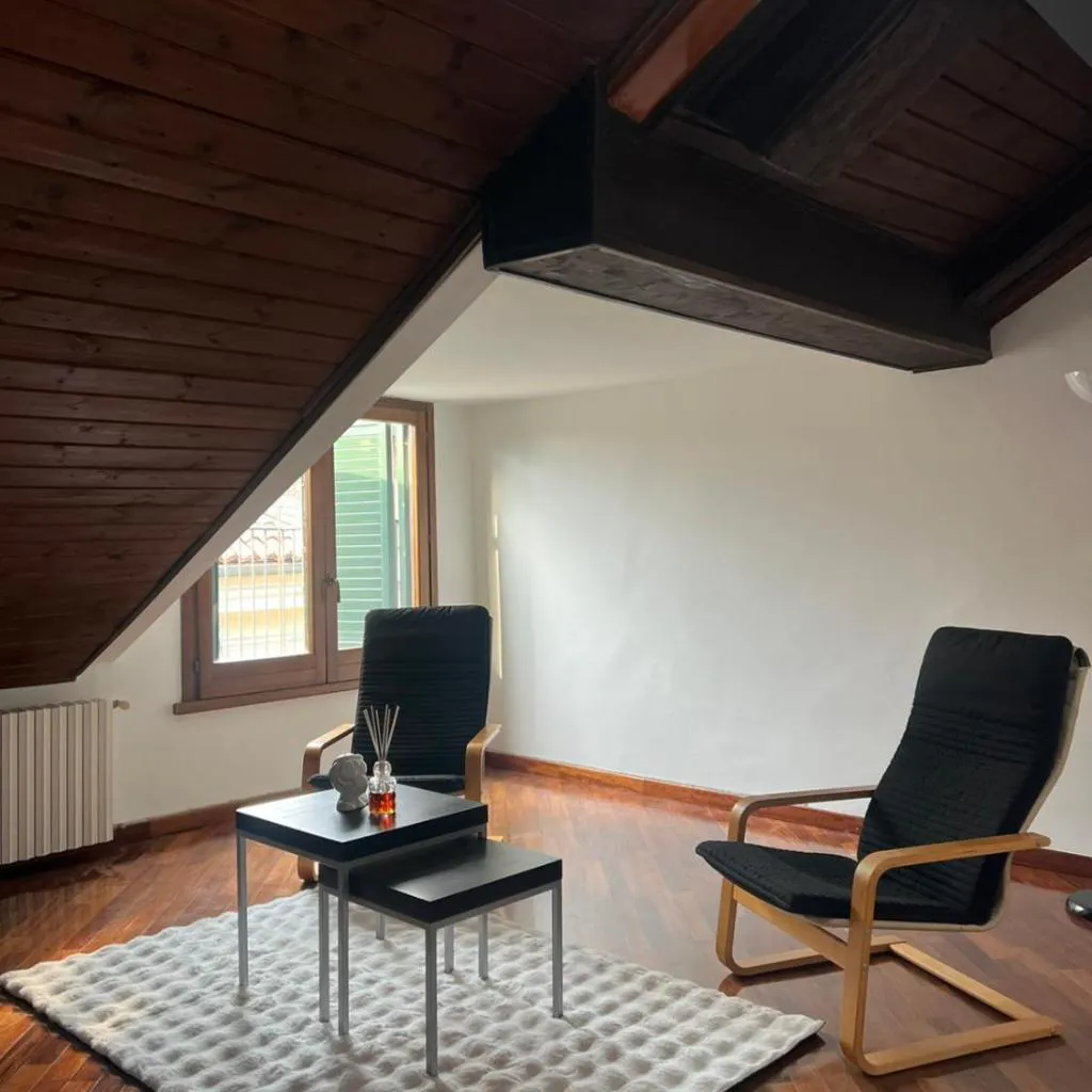 Photograph of Turin city centre - Francis Apartment