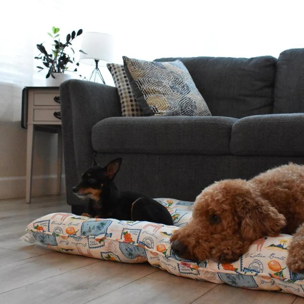Photograph of Pet-Friendly Cottage 15 Min to St Pete Beach