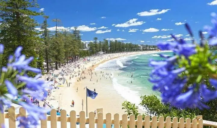 Photograph of Affordable Luxury Stay Near Manly Beach