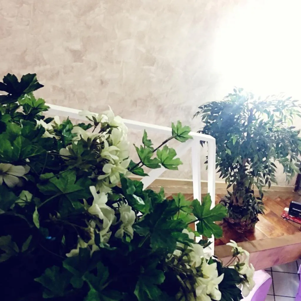 Photograph of Suite Orchidea by Dimorra