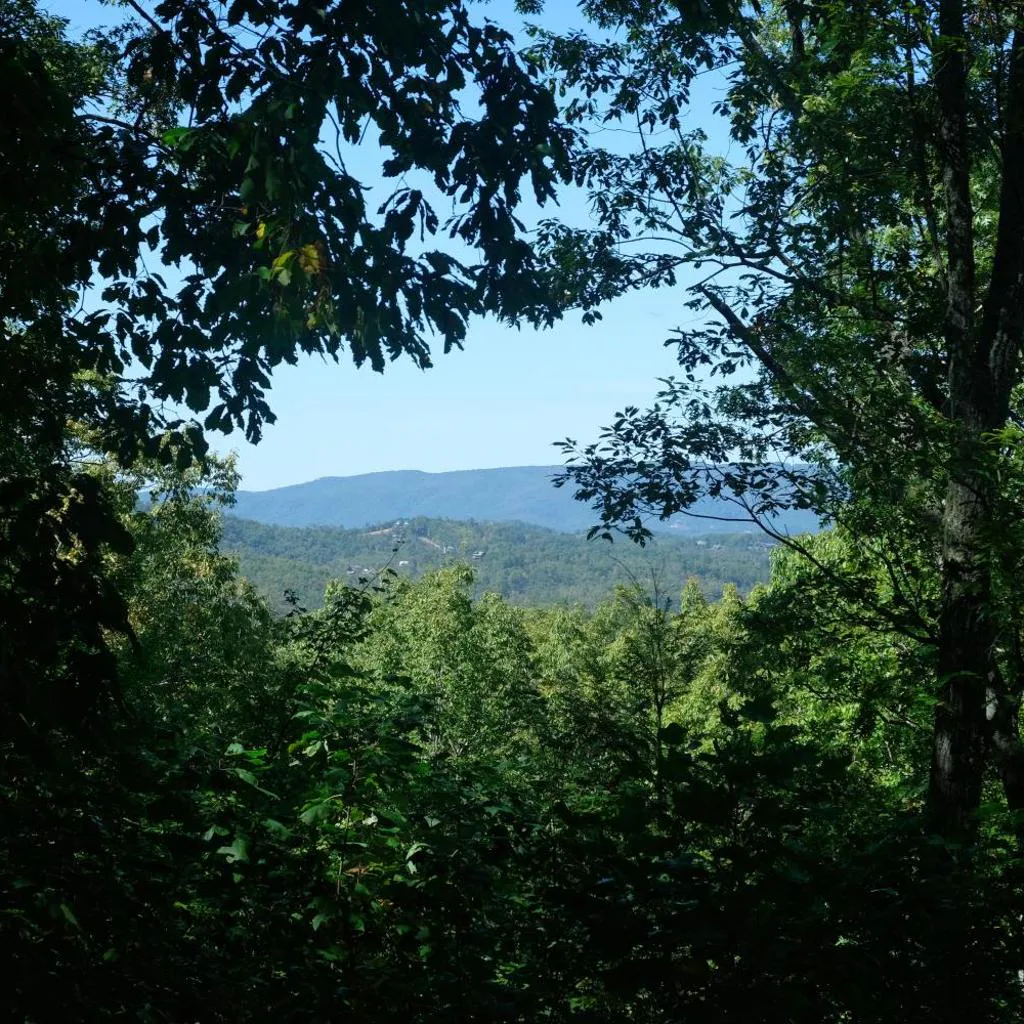 Photograph of The Road Less Traveled