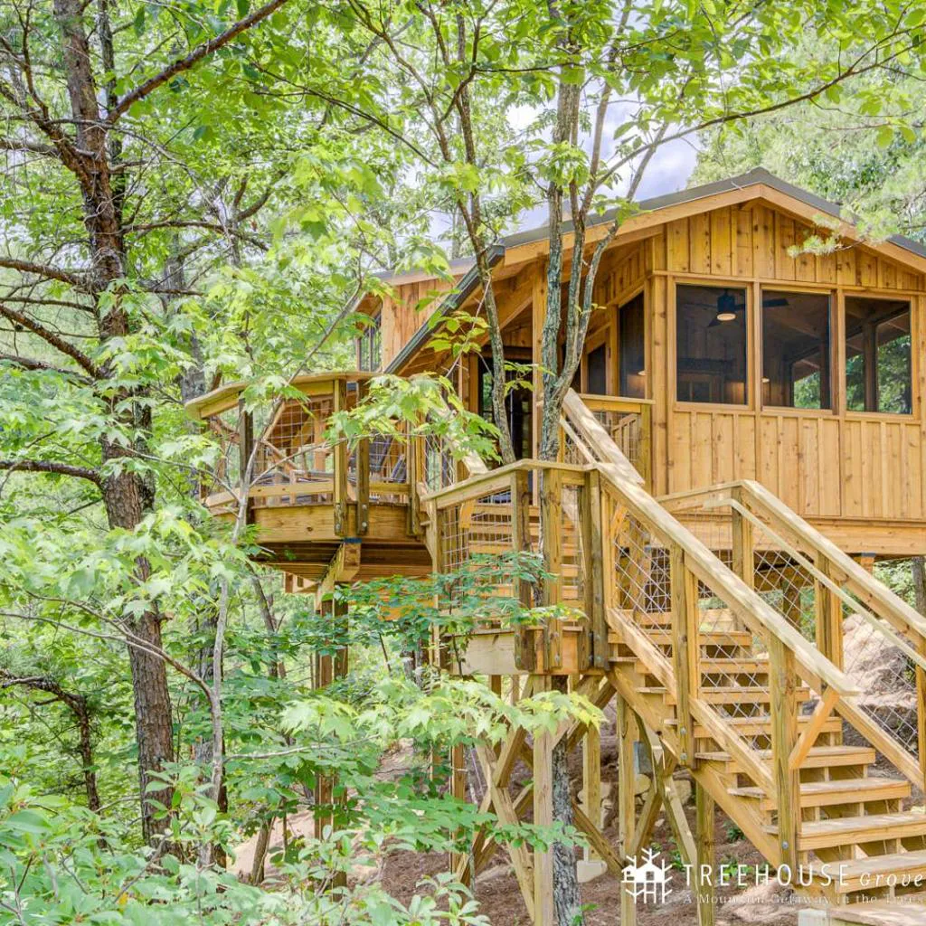 Photograph of The Cottonwood in Treehouse Grove at Norton Creek