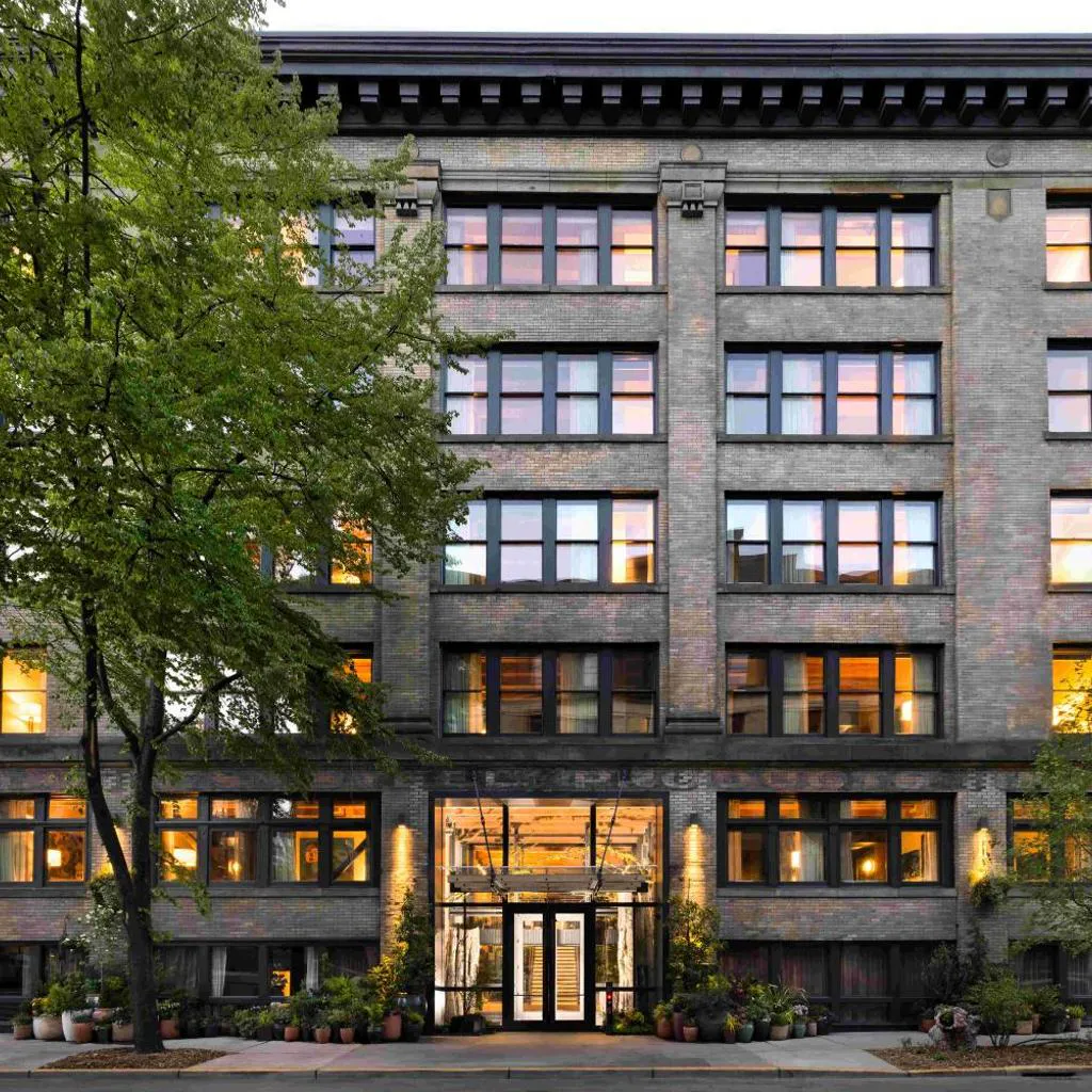 Photograph of Populus Seattle
