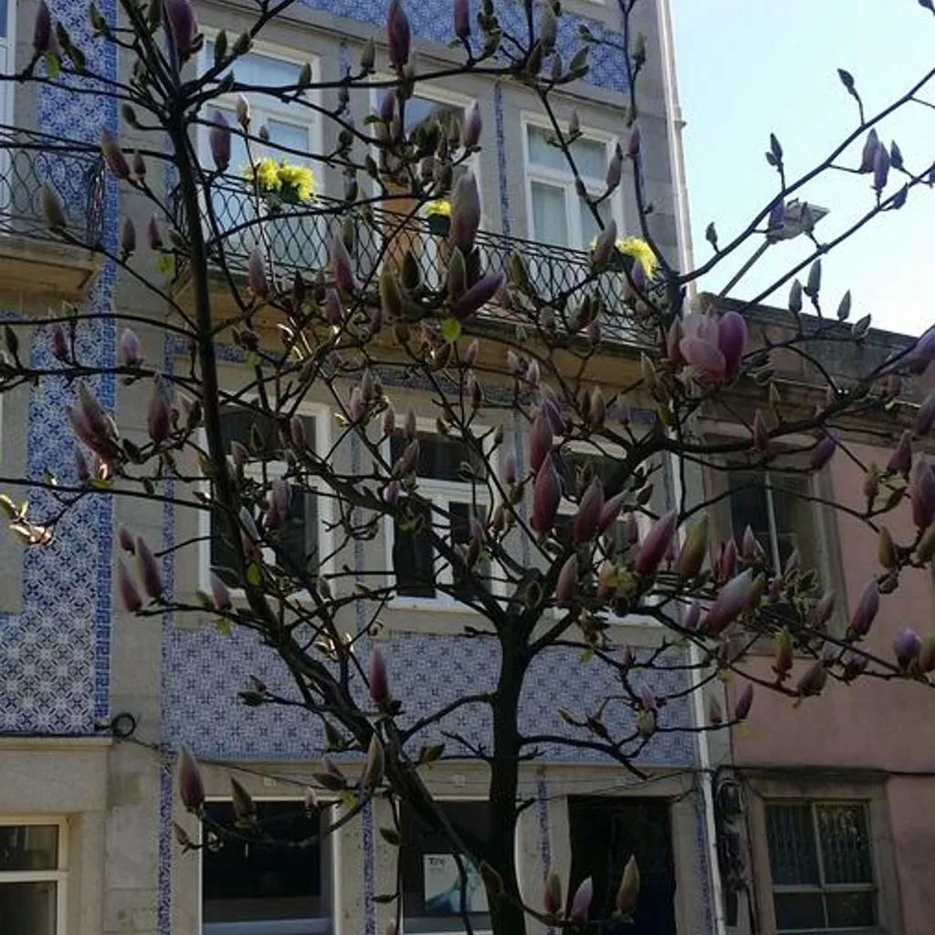 Photograph of ChillHouse_Porto