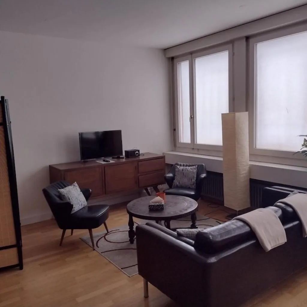 Photograph of Airy and Central apartment in Zurich