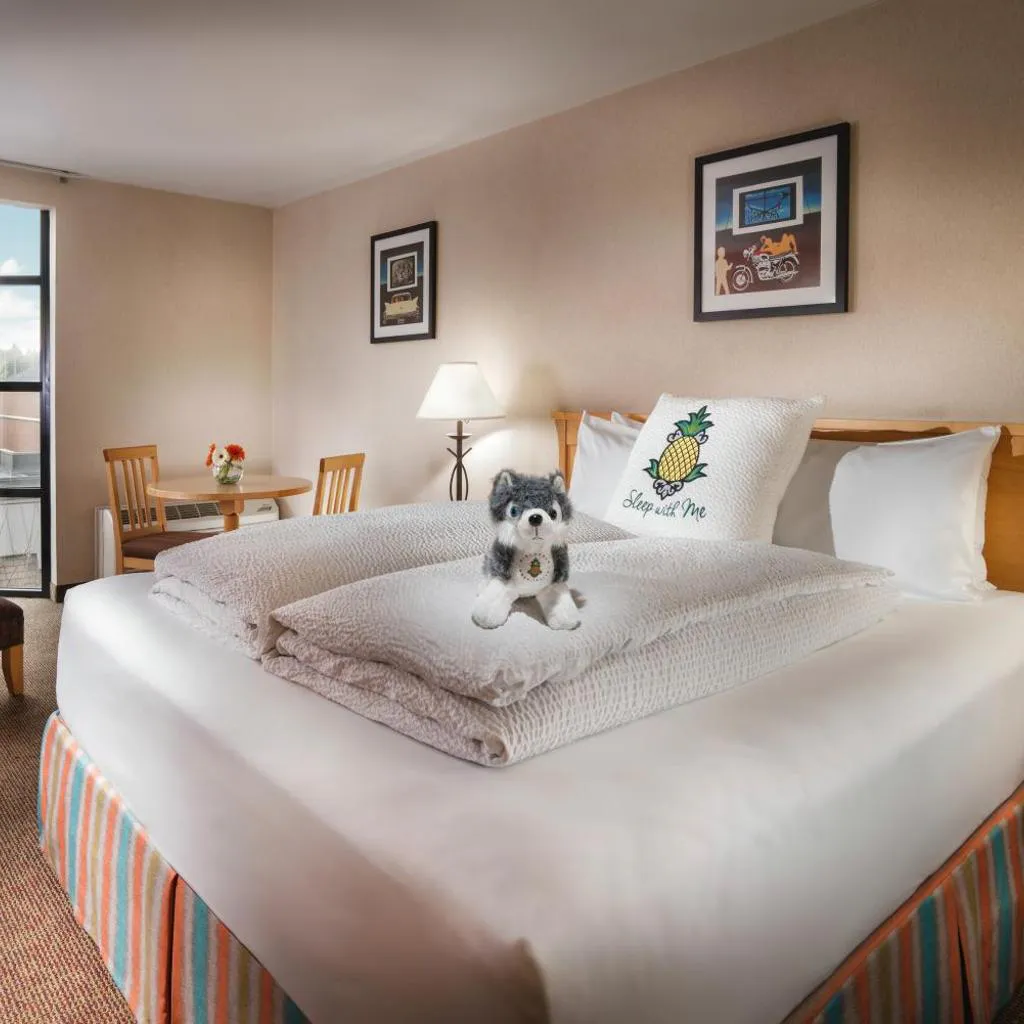 Photograph of Staypineapple, University Inn, University District Seattle