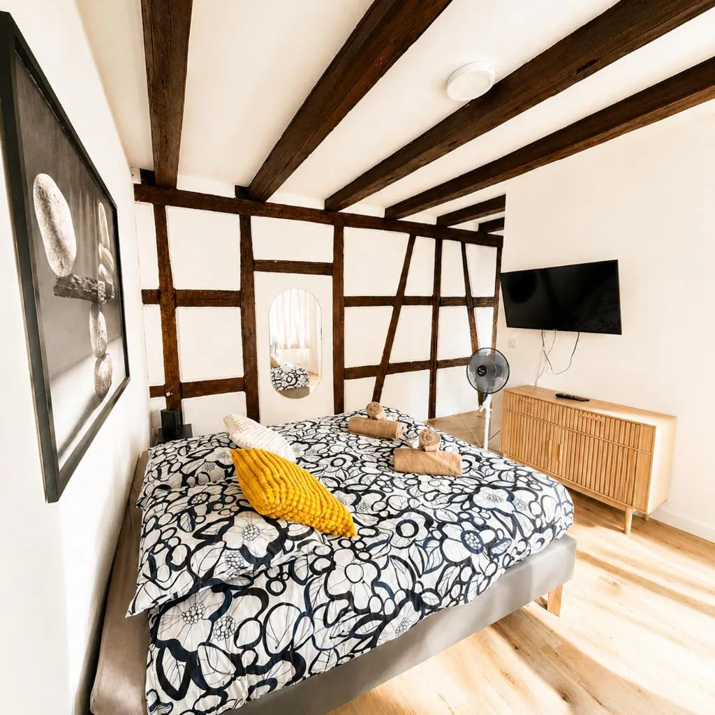 Photograph of Appart cosy - Centre - Charme alsacien - Strasbnb