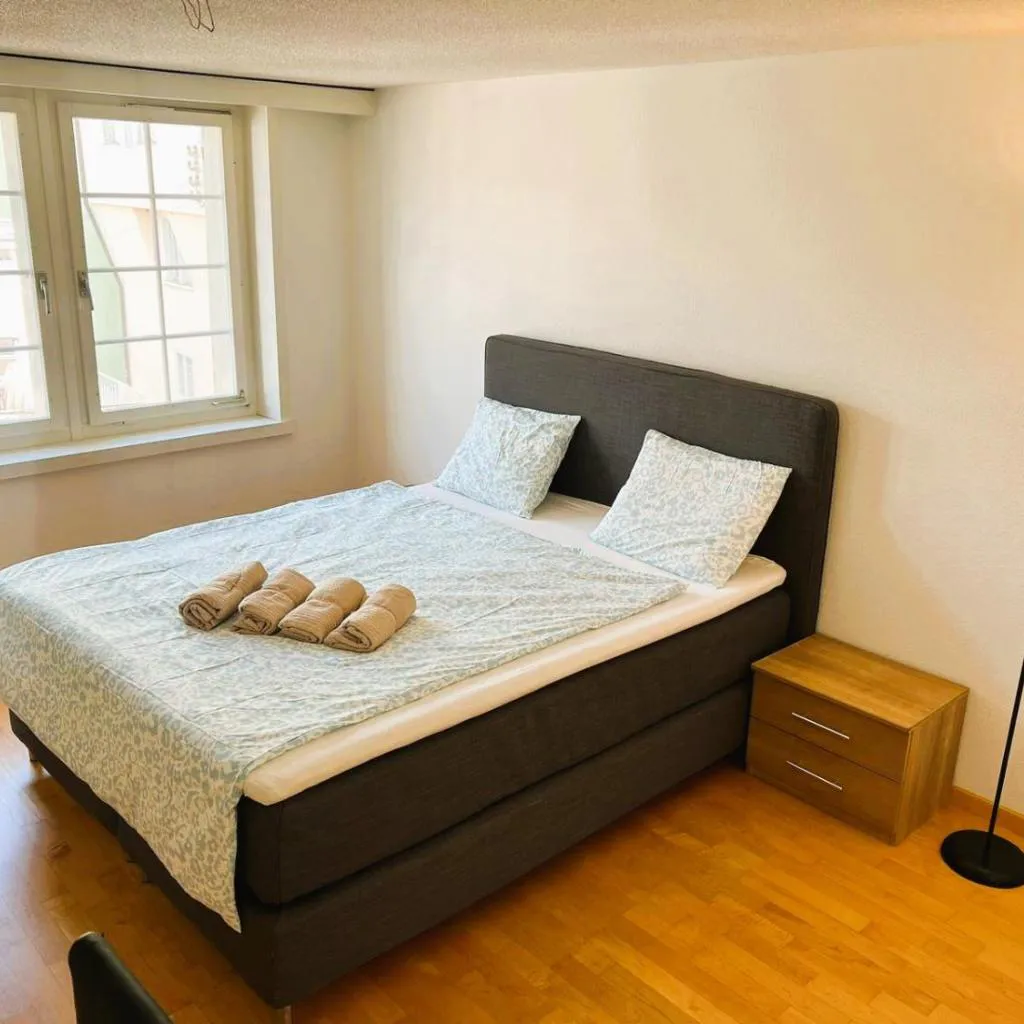 Photograph of New Cozy 2 room Apartment in Zurich Old Town Center RENN - Self Checkin