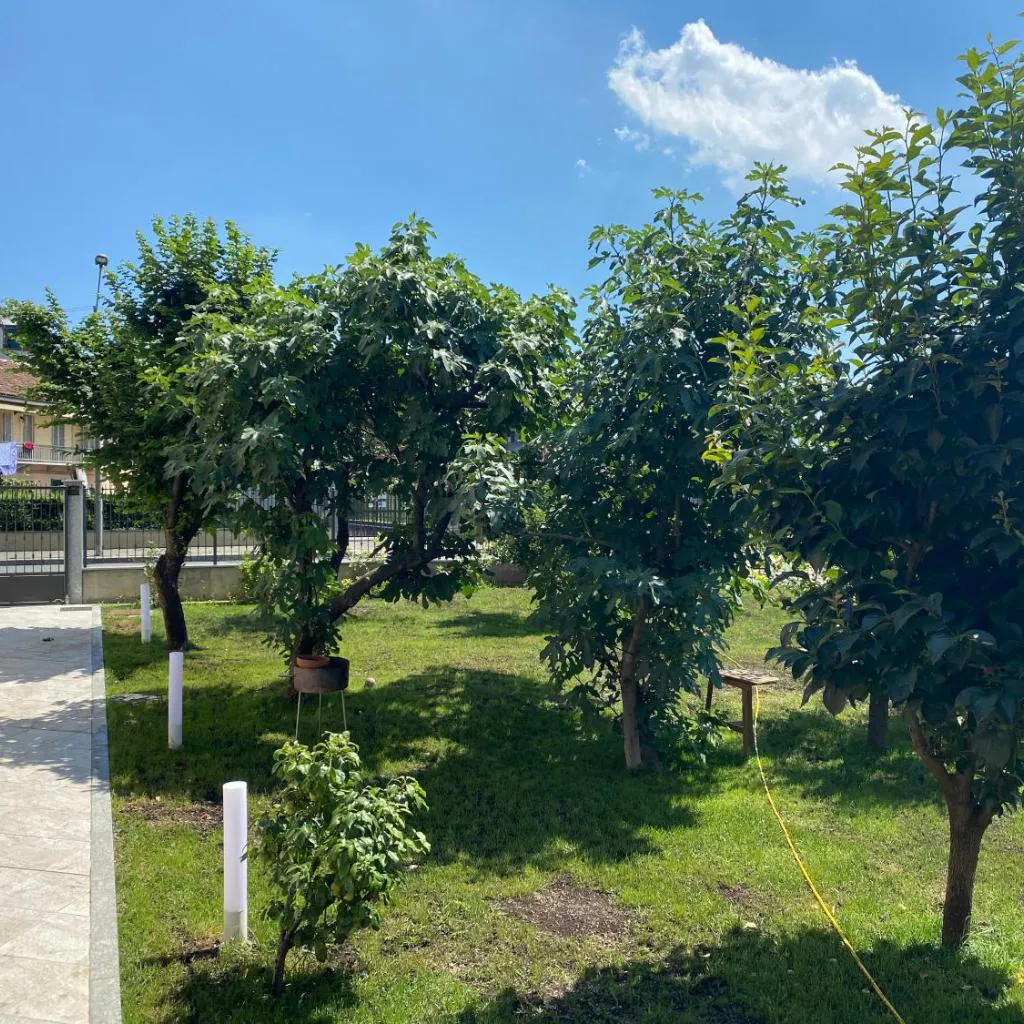 Photograph of Gardenhouse Torino