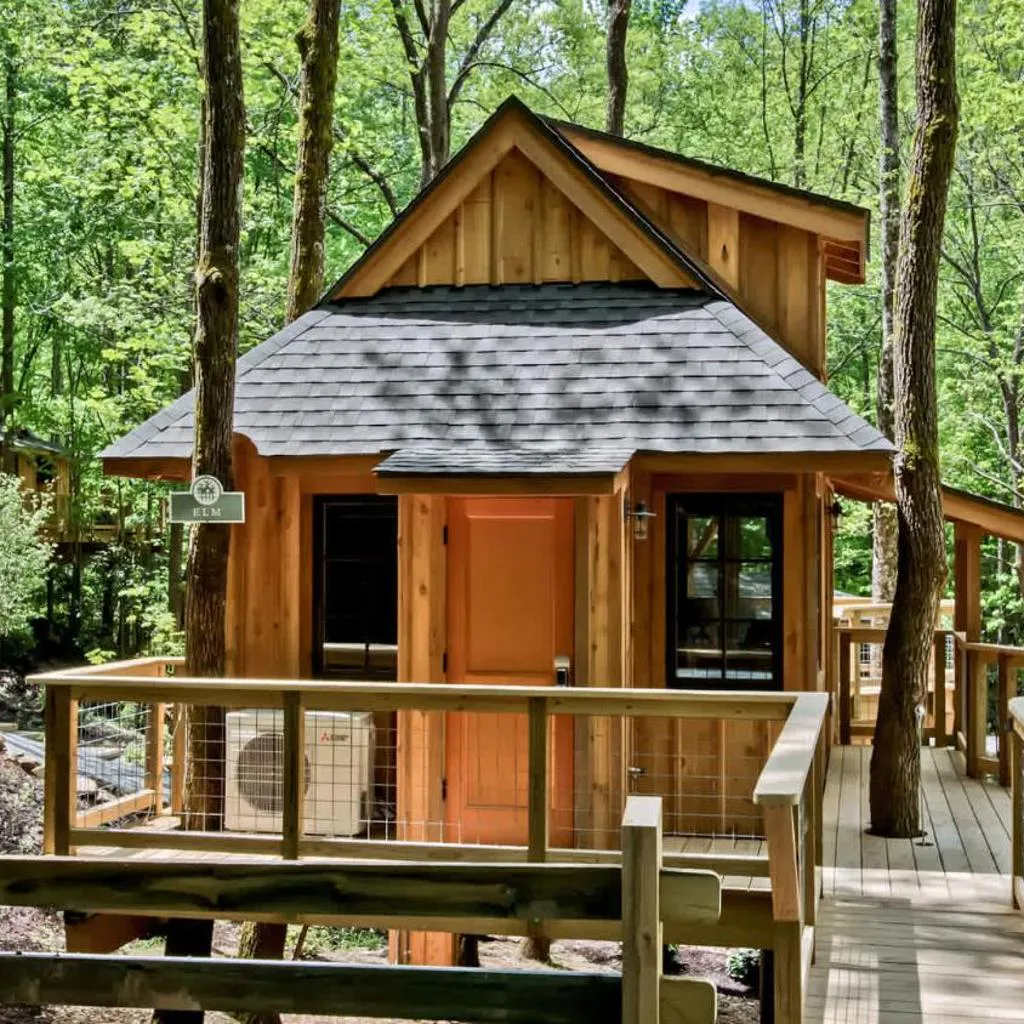Photograph of The Elm in Treehouse Grove at Norton Creek