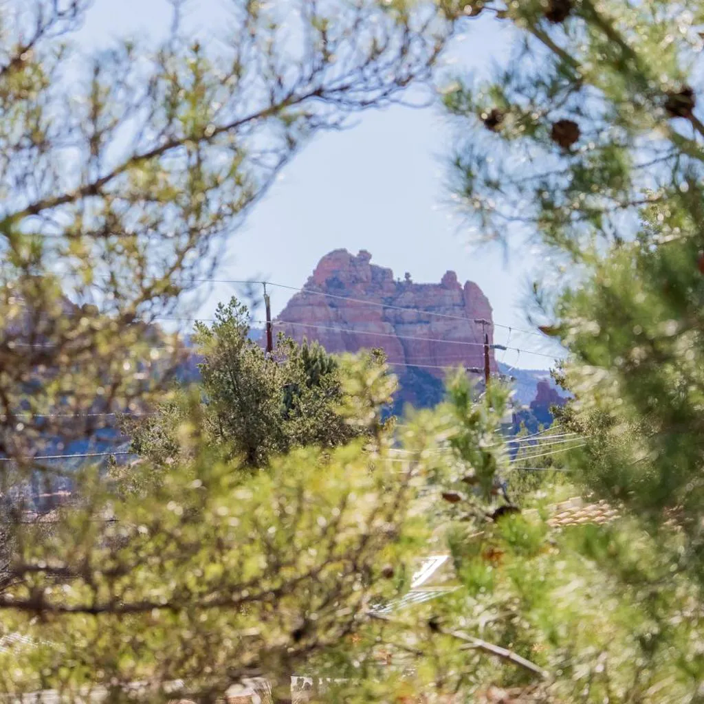 Photograph of Uptown Gem