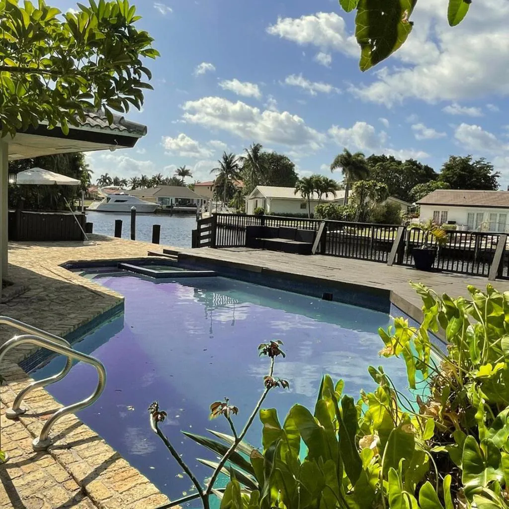 Photograph of Watch Dolphins from Your Deck