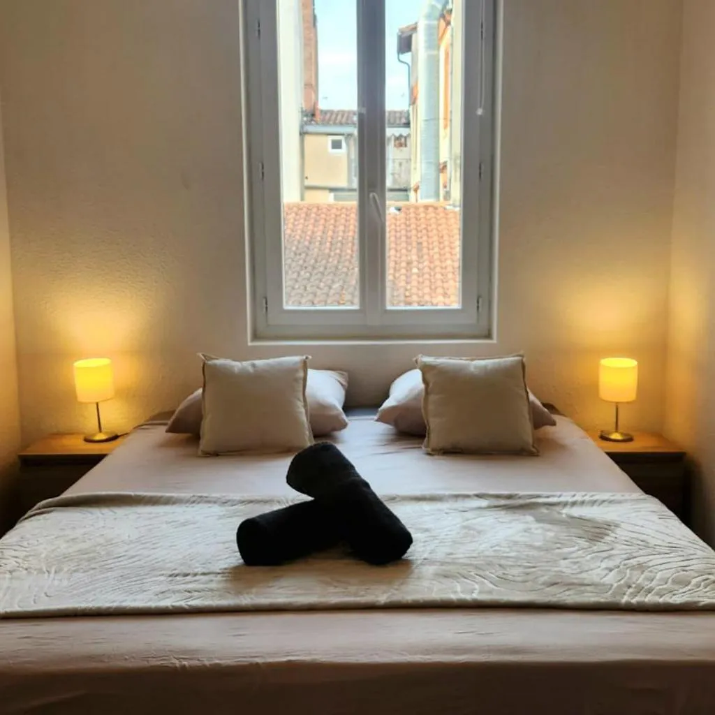 Photograph of La Rose Toulousaine - Fully equipped 2-bedroom 3person - City center