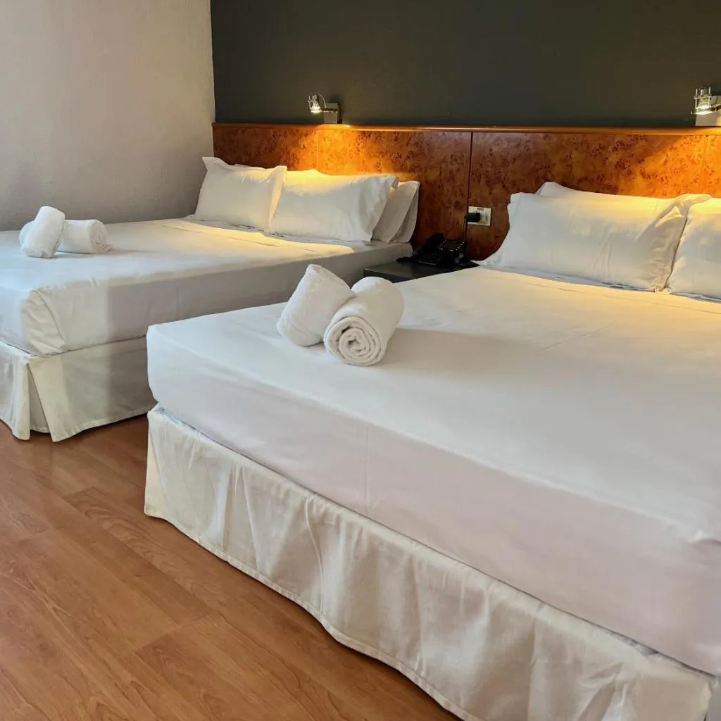 Photograph of AP Hotel Madrid Airport