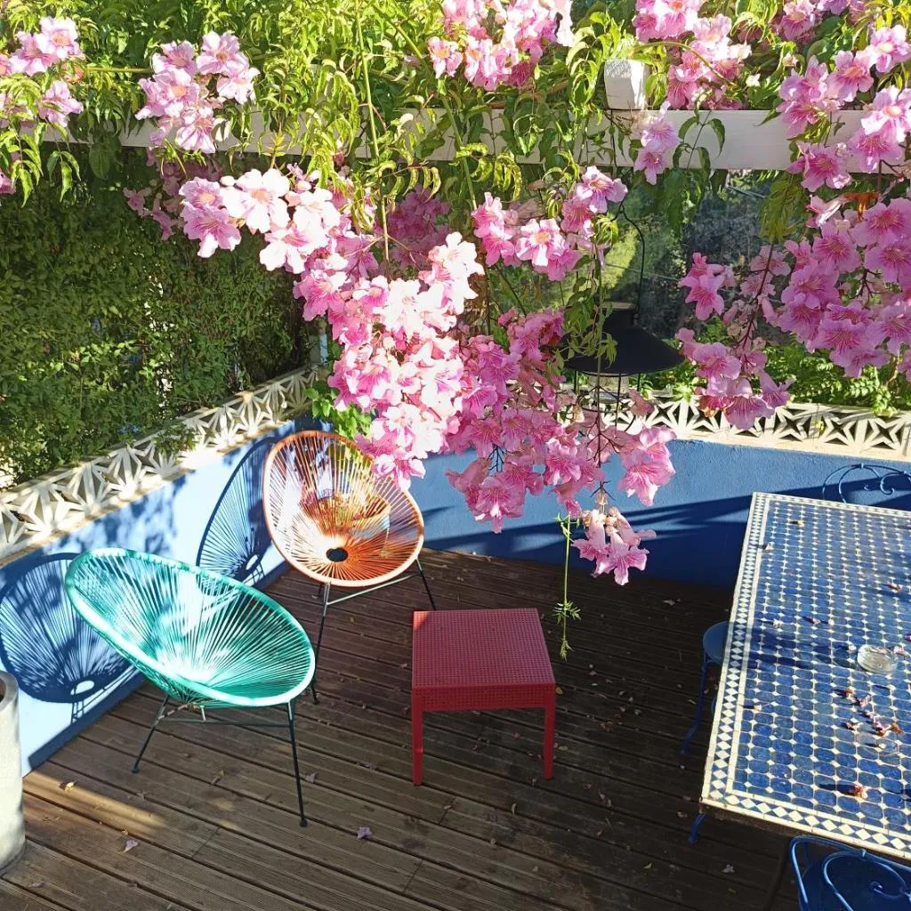 Photograph of Studio indépendant terrasse entre mer et collines