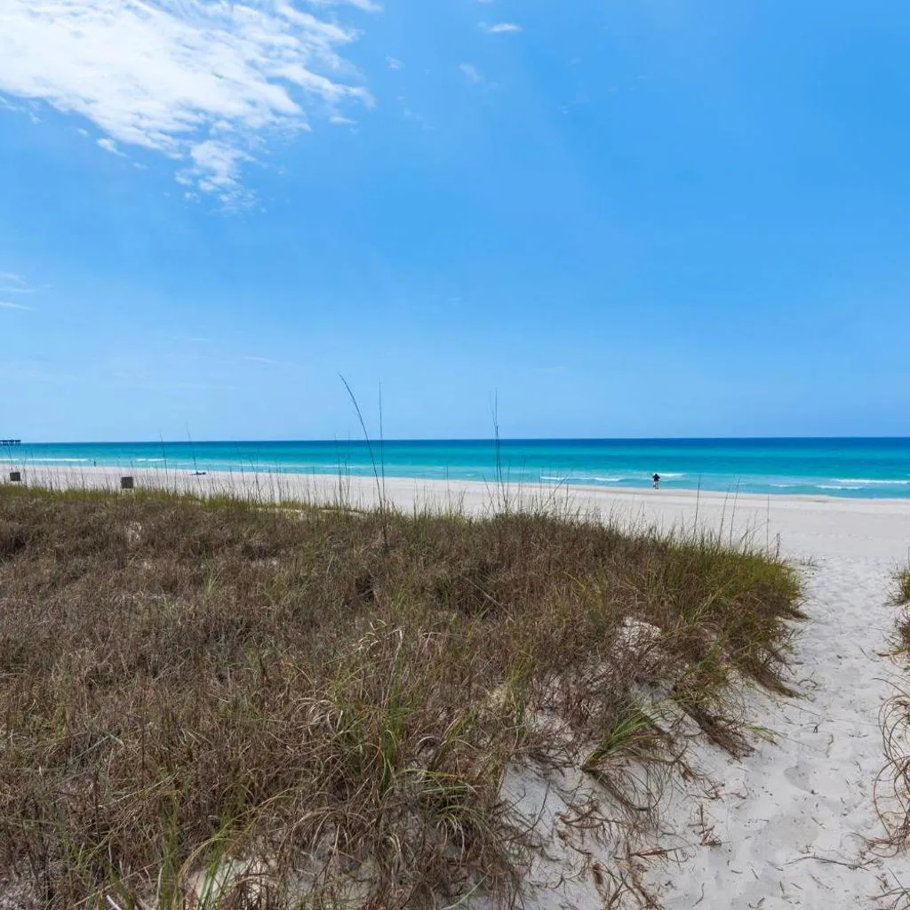 Photograph of Large snowbird friendly beachfront home with fast WiFi - steps to sand