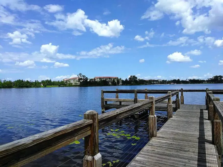 Photograph of Disney Backyard Oasis