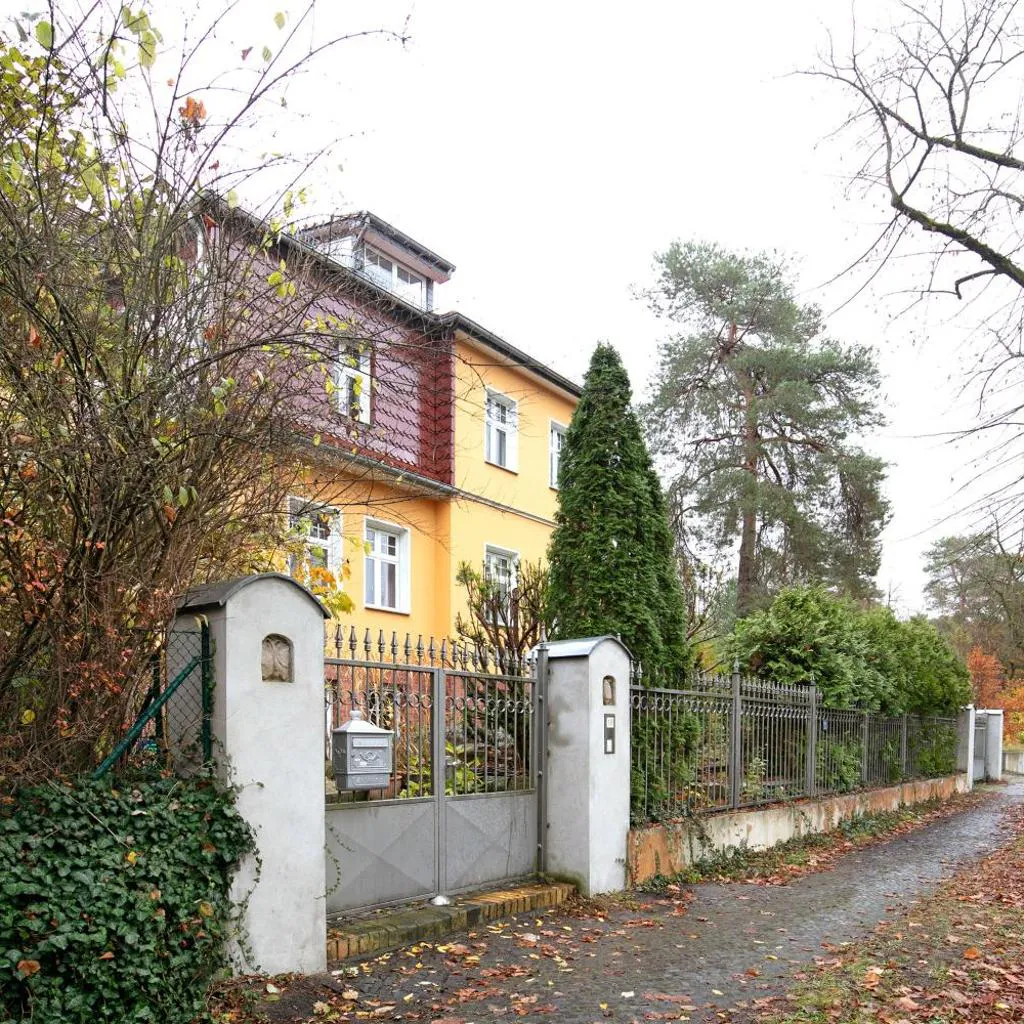 Photograph of Grüne Oase In Der Großstadt