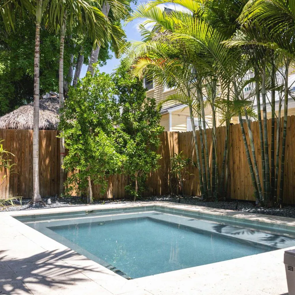 Photograph of Southern Palms