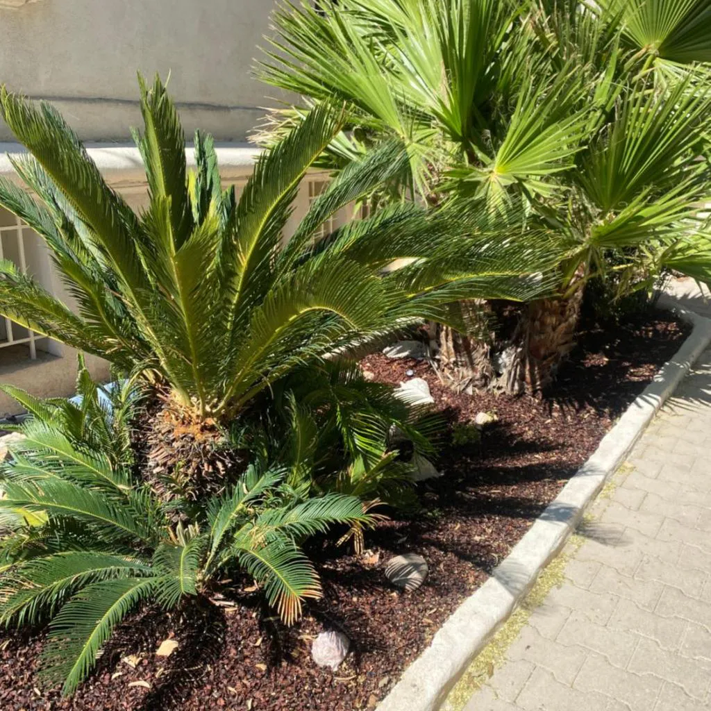 Photograph of Casa Cacao près plage et vélodrome