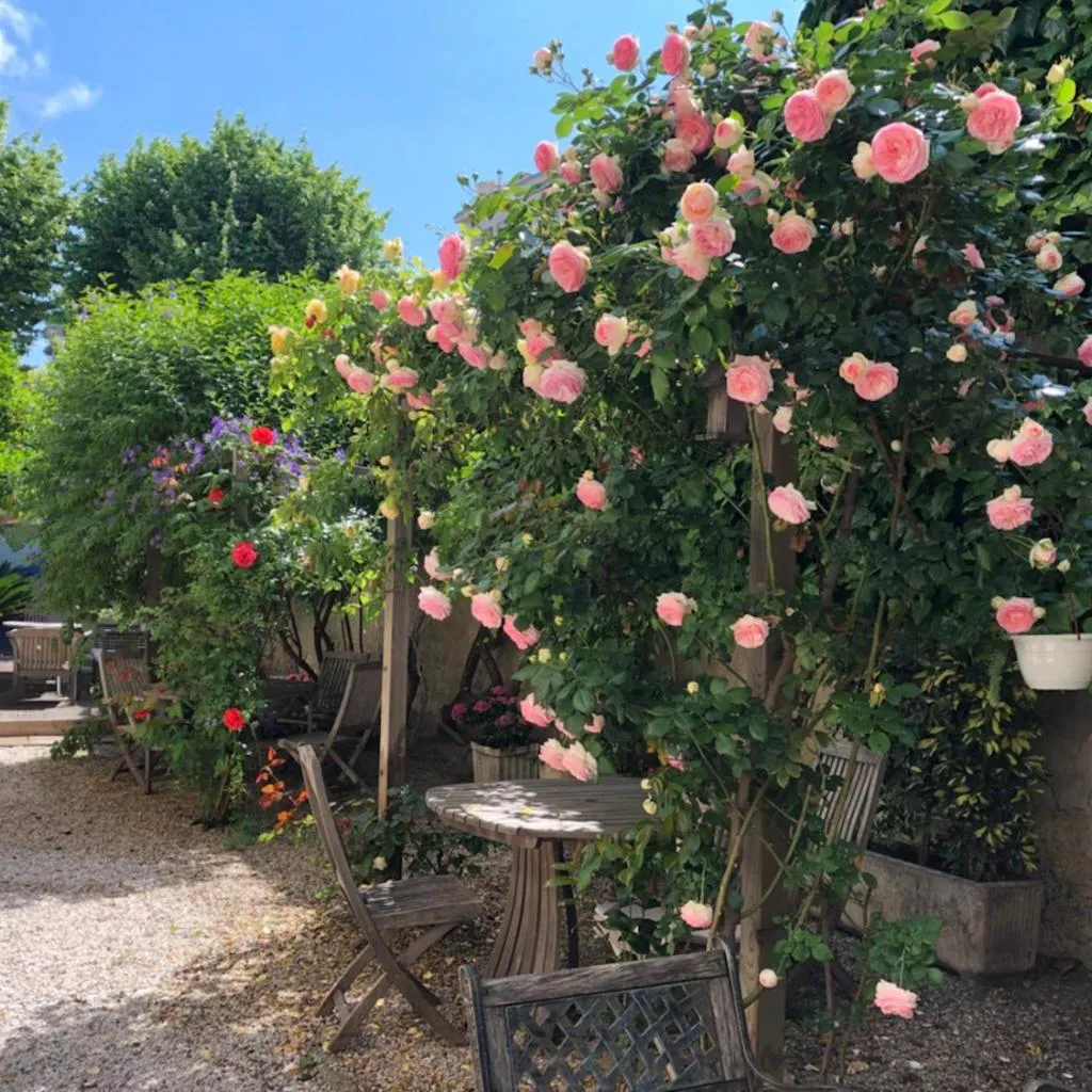 Photograph of Nice Garden Hotel