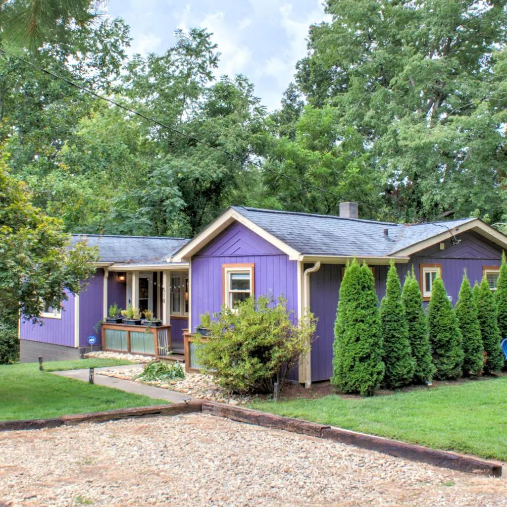 Photograph of The Grape Escape Collection by Carolina Mornings