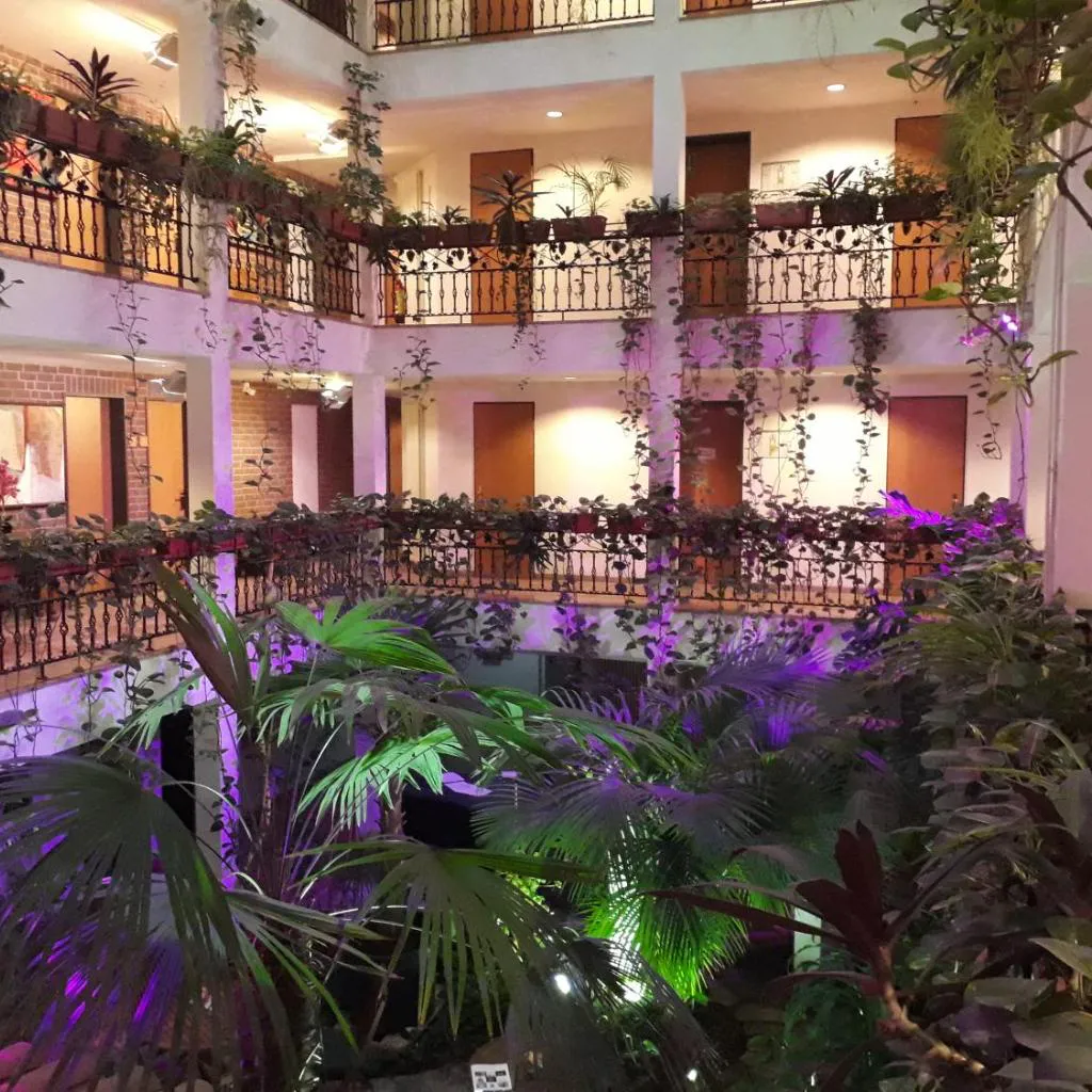 Photograph of Solitaire Hotel