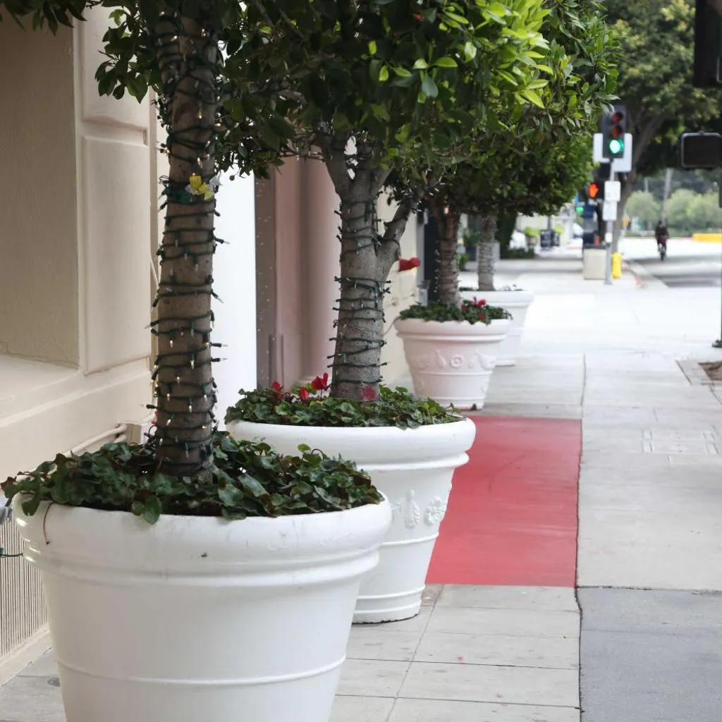 Photograph of Hotel Carmel Santa Monica