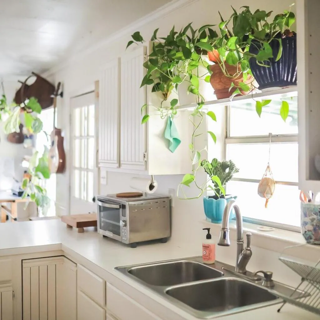 Photograph of Stylish Musician's Flat With Creekside Garden