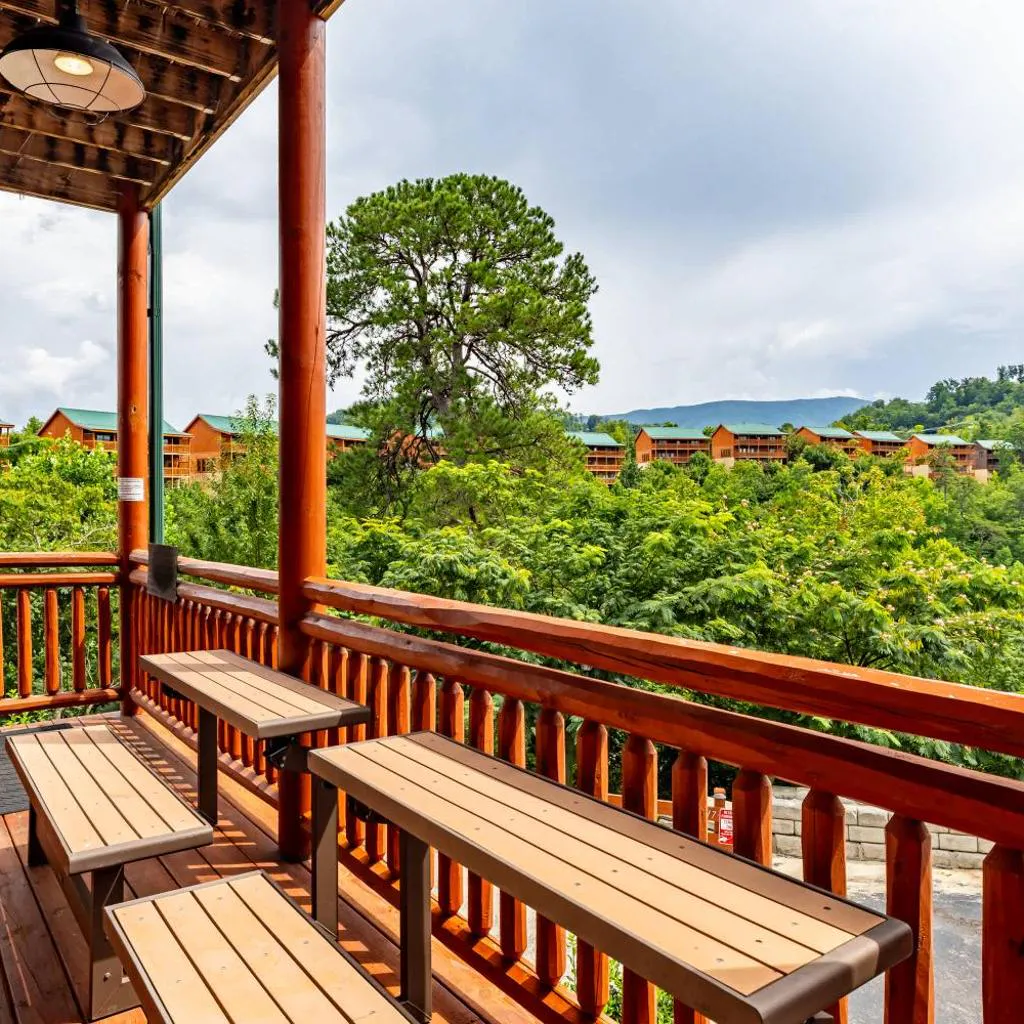 Photograph of Large Group Ginormous Luxury Cabin w ALL the Things
